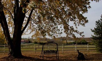 First Farm Inn