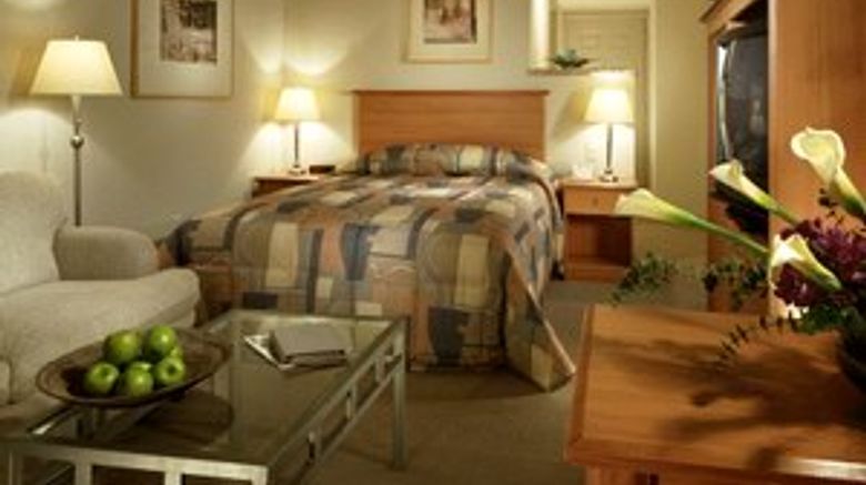 <b>Avia Apartments On College Blvd Room</b>