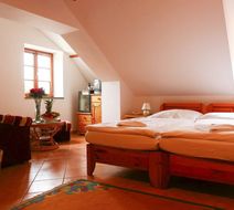 Hotel Zlaty Andel Room