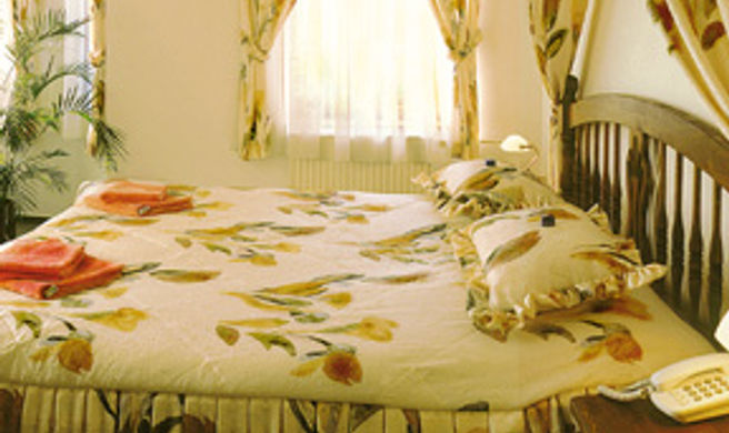 Hotel Lafayette Room