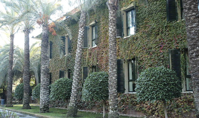 Hotel Jardin Milenio Exterior