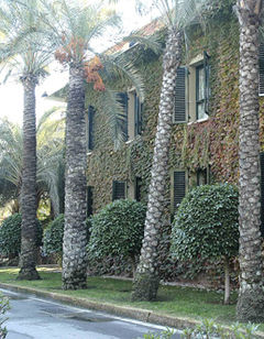 Hotel Jardin Milenio