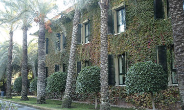 Hotel Jardin Milenio