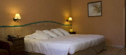 Hotel Jardin Milenio Room