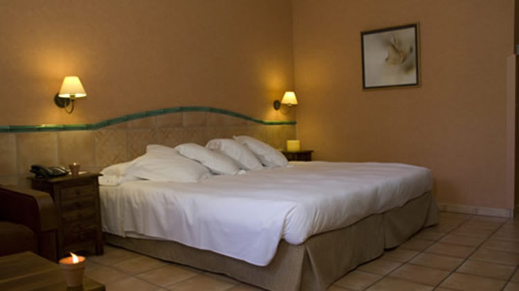 Hotel Jardin Milenio Room