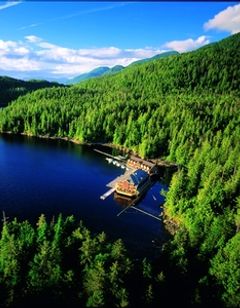 King Pacific Lodge