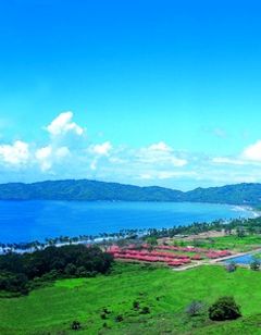 Bahia de los Delfines