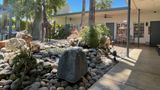 Desert Paradise Resort Hotel Exterior