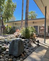 Desert Paradise Resort Hotel