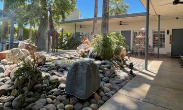 Desert Paradise Resort Hotel