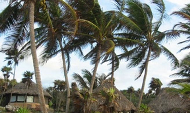 Cabanas Copal Hotel Exterior
