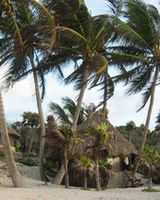 Cabanas Copal Hotel