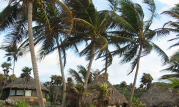 Cabanas Copal Hotel