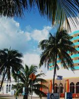 Calypso Hotel Cancun