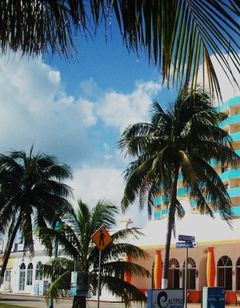 Calypso Hotel Cancun