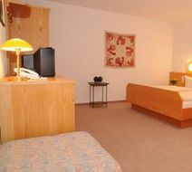 Parkhotel Cham Room