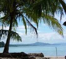 Samasati Nature Retreat Beach