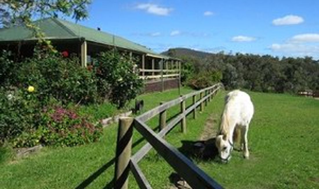 Lavender Farm Exterior