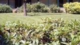 Eurogarden Hotel Exterior