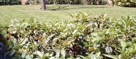 Eurogarden Hotel Exterior