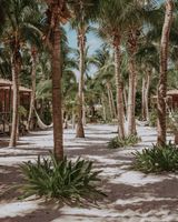 Petit Lafitte Hotel