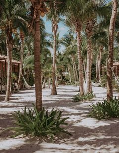 Petit Lafitte Hotel