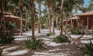 Petit Lafitte Hotel