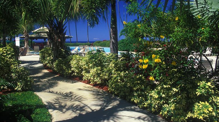 Rincon of the Seas Grand Caribbean Hotel Exterior