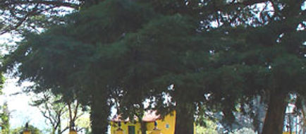 Cortijo la Reina Exterior