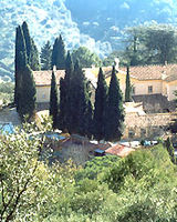 Cortijo la Reina