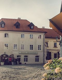 Hotel Bellevue