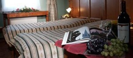 Hotel U Veze Room