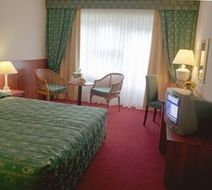 Hotel Restaurant Ruyghe Venne Room