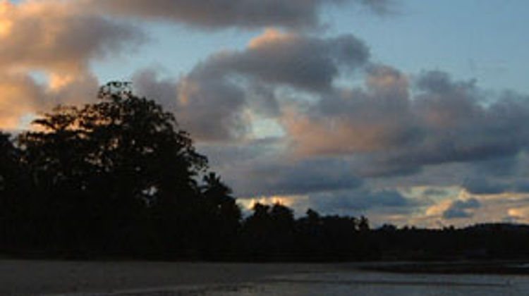 Nakamanda Resort & Spa Other