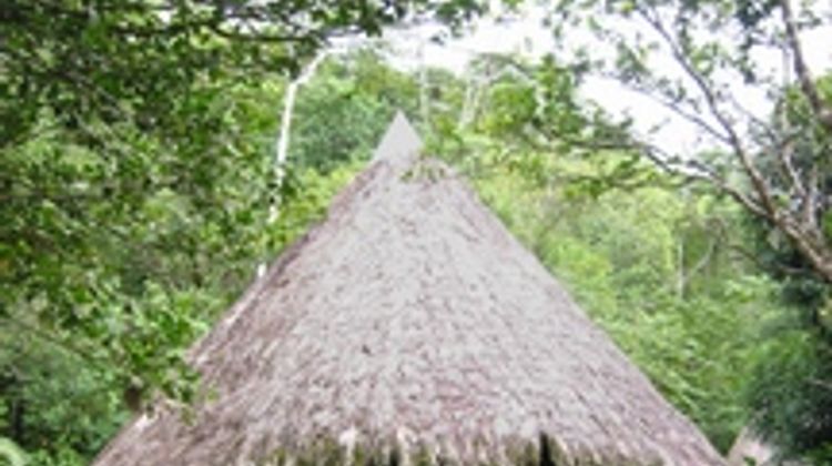 Luna Lodge Room