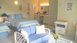 The Green Iguana Hotel