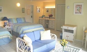 The Green Iguana Hotel