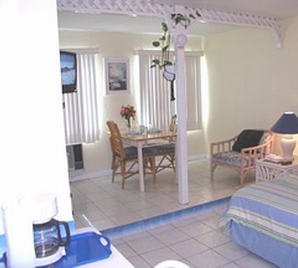 The Green Iguana Hotel Suite
