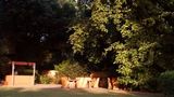 <b>The Ranthambhore Bagh Restaurant</b>