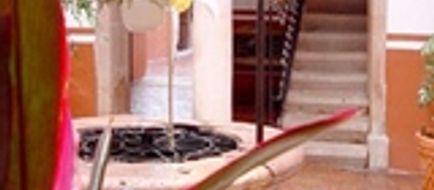 Hotel Reyna Soledad Lobby