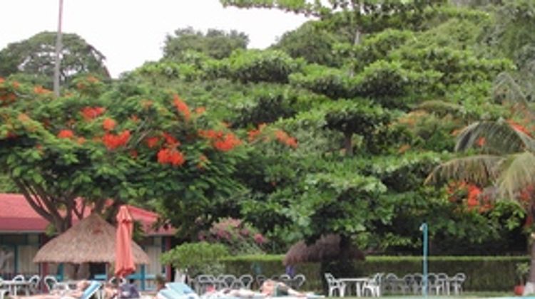 Pestana Inhaca Lodge Pool