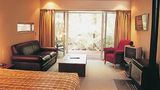 Punga Grove Suite