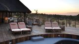 Mhondoro Game Lodge Pool