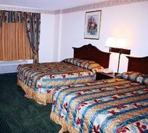 City Express by Marriott St Augustine Room