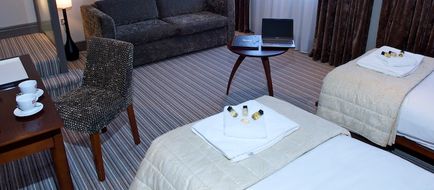 Forest Hotel Room