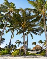 Motu Beachfront Art Villas