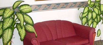 Executive Inn & Suites Lobby