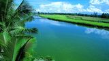 <b>Hoi An Riverside Resort & Spa Exterior</b>