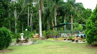 Atherton Rain Forest Motor Inn
