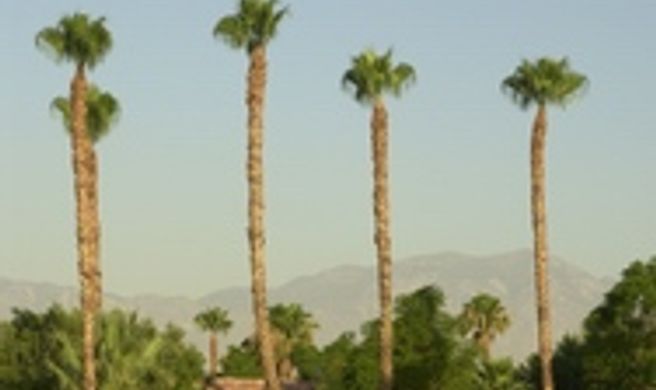 Fairway Vacation Rentals Exterior